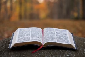 hello hi hOW ARE IS YOU